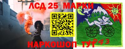 apvp Можга