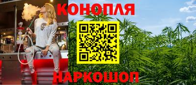 apvp Можга