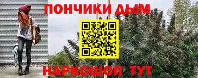 apvp Можга