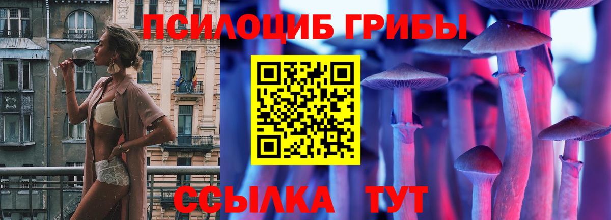 Псилоцибиновые грибы Magic Shrooms  Галлюциногенные грибы Magic Shrooms  Азнакаево  Вход с VPN 